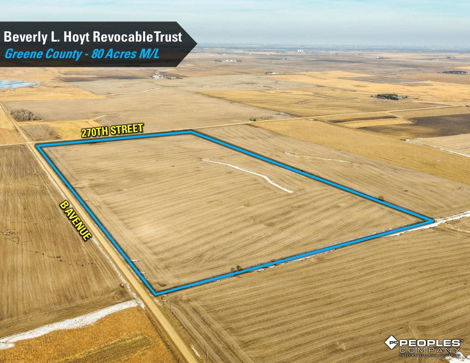 Listing Photo: Hoyt-Trust-Greene-County-Iowa-80Acres-Scranton-18837 (7)